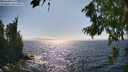 ./images/koeye/fitz-hugh/20260804/fitz-hugh20260804_162501M.jpg