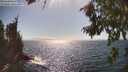 ./images/koeye/fitz-hugh/20260804/fitz-hugh20260804_163001M.jpg