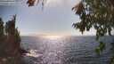 ./images/koeye/fitz-hugh/20260804/fitz-hugh20260804_163501M.jpg