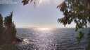 ./images/koeye/fitz-hugh/20260804/fitz-hugh20260804_164501M.jpg