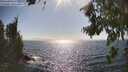 ./images/koeye/fitz-hugh/20260804/fitz-hugh20260804_165001M.jpg