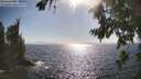 ./images/koeye/fitz-hugh/20260804/fitz-hugh20260804_172001M.jpg
