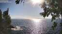 ./images/koeye/fitz-hugh/20260804/fitz-hugh20260804_173501M.jpg
