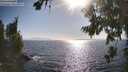 ./images/koeye/fitz-hugh/20260804/fitz-hugh20260804_174002M.jpg