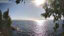 ./images/koeye/fitz-hugh/20260804/fitz-hugh20260804_175001M.jpg