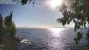 ./images/koeye/fitz-hugh/20260804/fitz-hugh20260804_175502M.jpg