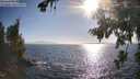 ./images/koeye/fitz-hugh/20260804/fitz-hugh20260804_181001M.jpg
