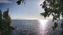 ./images/koeye/fitz-hugh/20260804/fitz-hugh20260804_182002M.jpg