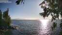./images/koeye/fitz-hugh/20260804/fitz-hugh20260804_183502M.jpg