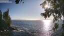 ./images/koeye/fitz-hugh/20260804/fitz-hugh20260804_184501M.jpg
