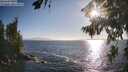 ./images/koeye/fitz-hugh/20260804/fitz-hugh20260804_185001M.jpg