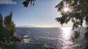 ./images/koeye/fitz-hugh/20260804/fitz-hugh20260804_185501M.jpg