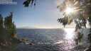 ./images/koeye/fitz-hugh/20260804/fitz-hugh20260804_190001M.jpg