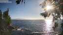./images/koeye/fitz-hugh/20260804/fitz-hugh20260804_190501M.jpg