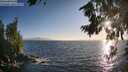 ./images/koeye/fitz-hugh/20260804/fitz-hugh20260804_194501M.jpg