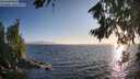 ./images/koeye/fitz-hugh/20260804/fitz-hugh20260804_195001M.jpg