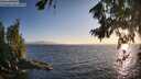 ./images/koeye/fitz-hugh/20260804/fitz-hugh20260804_201001M.jpg