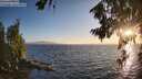 ./images/koeye/fitz-hugh/20260804/fitz-hugh20260804_202001M.jpg