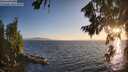 ./images/koeye/fitz-hugh/20260804/fitz-hugh20260804_202502M.jpg