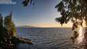 ./images/koeye/fitz-hugh/20260804/fitz-hugh20260804_203001M.jpg