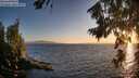 ./images/koeye/fitz-hugh/20260804/fitz-hugh20260804_203501M.jpg