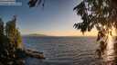 ./images/koeye/fitz-hugh/20260804/fitz-hugh20260804_204002M.jpg