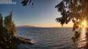 ./images/koeye/fitz-hugh/20260804/fitz-hugh20260804_204501M.jpg