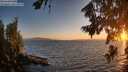 ./images/koeye/fitz-hugh/20260804/fitz-hugh20260804_205501M.jpg