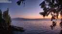 ./images/koeye/fitz-hugh/20260804/fitz-hugh20260804_214501M.jpg