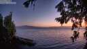 ./images/koeye/fitz-hugh/20260804/fitz-hugh20260804_215002M.jpg