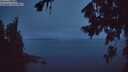 ./images/koeye/fitz-hugh/20260805/fitz-hugh20260805_052001M.jpg