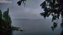 ./images/koeye/fitz-hugh/20260805/fitz-hugh20260805_054001M.jpg