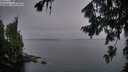 ./images/koeye/fitz-hugh/20260805/fitz-hugh20260805_055001M.jpg