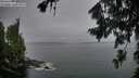 ./images/koeye/fitz-hugh/20260805/fitz-hugh20260805_060002M.jpg