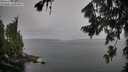 ./images/koeye/fitz-hugh/20260805/fitz-hugh20260805_062001M.jpg
