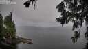 ./images/koeye/fitz-hugh/20260805/fitz-hugh20260805_072502M.jpg