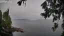 ./images/koeye/fitz-hugh/20260805/fitz-hugh20260805_074002M.jpg