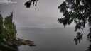 ./images/koeye/fitz-hugh/20260805/fitz-hugh20260805_082002M.jpg