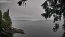 ./images/koeye/fitz-hugh/20260805/fitz-hugh20260805_083501M.jpg