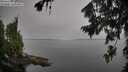 ./images/koeye/fitz-hugh/20260805/fitz-hugh20260805_090001M.jpg