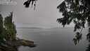 ./images/koeye/fitz-hugh/20260805/fitz-hugh20260805_092501M.jpg