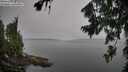 ./images/koeye/fitz-hugh/20260805/fitz-hugh20260805_093001M.jpg