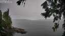 ./images/koeye/fitz-hugh/20260805/fitz-hugh20260805_094002M.jpg