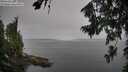 ./images/koeye/fitz-hugh/20260805/fitz-hugh20260805_094501M.jpg