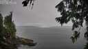 ./images/koeye/fitz-hugh/20260805/fitz-hugh20260805_102002M.jpg