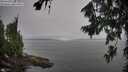 ./images/koeye/fitz-hugh/20260805/fitz-hugh20260805_102501M.jpg