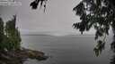 ./images/koeye/fitz-hugh/20260805/fitz-hugh20260805_103001M.jpg