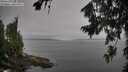 ./images/koeye/fitz-hugh/20260805/fitz-hugh20260805_103501M.jpg