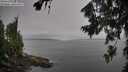 ./images/koeye/fitz-hugh/20260805/fitz-hugh20260805_104001M.jpg