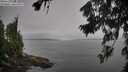 ./images/koeye/fitz-hugh/20260805/fitz-hugh20260805_104502M.jpg
